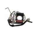 Stator Generator Magneto 2-spole for Kazuma 50cc 70cc 90cc