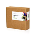 Pikkukuva 3 / 3: Click and Grow Smart Garden Refill 9-pakkaus