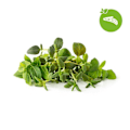 Miniatyrbillede 1 af 2: Click and Grow Smart Garden Refill 9-pak italienske urter