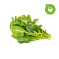 Pikkukuva 1 / 2: Click and Grow Smart Garden Refill 9-pakkaus - Vihreä salaattisekoitus Green