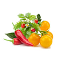 Miniatyrbillede 2 af 3: Click and Grow Smart Garden Refill 9-pak Frugt- og grøntsagsblanding Green