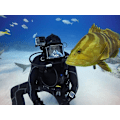 Miniatyrbild 7 av 7: Tech-Protect GoPro Hero 5/6/7 Vattentät Fodral  - Clear