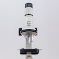 Miniatyrbild 2 av 6: Maxlife Bärbart Science Experiment 1200X Mikroskop Vit
