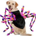 Halloween spindeldräkt för hundar – lämplig för medelstora och stora raser S 60cm