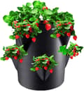 Jordgubbskrukor - Växtodlingspåse - Odla hemma - 6 sidoodlingspåsar - 7 Gallon 30x35cm