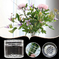 Miniatyrbillede 1 af 5: 3 stk. Spiral Ikebana Stilkholder, Transparent Genanvendelig Blomstergitter til Vase, Blomsterformer til Blomster (1L+2S)