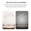 Miniatyrbild 4 av 5: Smart Dimmer med RM433R2 Fjärrkontroll Fjärrtimer Strömbrytare Stöd Alexa Röst Dimmer