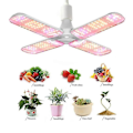 Miniatyrbillede 2 af 5: LED Vækstlys Foldbar Phyto Lampe Fuld Spektrum Pære til Indendørs Planter Blomstring Vækstlamper Have E27 C