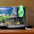 Miniatyrbillede 2 af 5: Akvariekøler, fisketank køleventilatorsystem lavt støjniveau køleventilator akvarium mini akvariekøler Green
