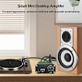 Miniatyrbild 5 av 5: Bluetooth Ljudförstärkare TPA3116 Stereo 2.0 Kanal Klass D Hemmabioförstärkare 200W Effekt Digital Ljudförstärkare