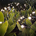 Miniatyrbillede 4 af 4: Solcellehavelampe - Solcellelampe der svajer, Vindsvajende, Solcelle udendørslampe 6LED