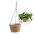 Miniatyrbild 3 av 5: Hängande Planteringskorg Makramé Växtförvaringskorg Repvävd Inomhus Utomhus Blomkrukshållare Grå L