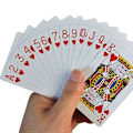 Pikkukuva 4 / 5: Pelikortit Muoviset Baccarat Hold'Em Pokeri Kortit PVC Pokerit Vedenpitävät Kestävät Korttipeli-Punainen
