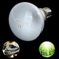 Miniatyrbillede 2 af 5: Uva+uvb Reptil Lampe Pære Skildpadde Solbadning Uv Lys Pærer Varmelampe Padder Firben Temperatur ControllerP20211224322 75W