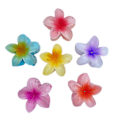 Miniatyrbilde 1 av 5: 6 stk. Imitasjon Bauhinia Blomst Hårklype, Plumeria Blomst Hårnål Bade Hårklype Plate Hårnål Hårtilbehør, Lilla Lykkebringende