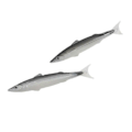 Miniatyrbild 5 av 5: Rolig Saltad Fisk Styling Kulspetspenna Ocean Series Kulspetspenna Fisk Styling Penna