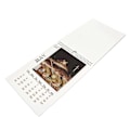 Miniatyrbillede 4 af 5: 2024 Vægkalender Søde Grimme Katte Forskellige Billeder Sikkert Holdbart Papir Kattekalender til Familie Kontor Dekoration