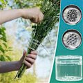Pikkukuva 4 / 5: 5 kpl Spiraali Ikebana Varsi Pidike DIY Kimppu Kierrin Kukka-asetelma Pidike Läpinäkyvä Maljakoille Kukkatuki S