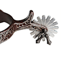 Miniatyrbillede 2 af 4: 2x Hestesporer Anti-Rust Western Style Spore Til Konkurrenceudstyr Mænd Sølv Brown