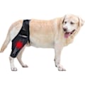 Miniatyrbilde 1 av 5: Knebeskytter for hund, benbeskytter for hund, hoftebeskyttelse for skader på korsbånd, CCL, patellaluksasjon eller osteoartritt S