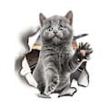 Miniatyrbilde 1 av 5: 3D Fantasifullt Designet Kattunge Veggklistremerker Baderom Toalettlokk Dekor
