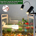 Miniatyrbillede 3 af 4: 6-pakke Skildpaddevarme 50W x 6 UVA UVB Glasbeholder Varmelampe til , , Slanger