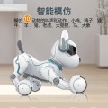 Miniatyrbild 2 av 3: Barnleksaker för pojkar och flickor simulerad fjärrkontroll intelligent robot hund röststyrd Ladi hund kan gå, prata, sjunga och dansa