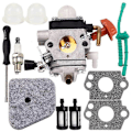 Miniatyrbillede 1 af 5: Karburator egnet til pp210 2050 wt-891 W-20 wt-89 wt-324 WT-600