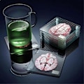 Miniatyrbillede 4 af 5: Hjerne Prøve Glasbrikker Sæt 3D Organ Hjernekunst Hjerne Skiver Firkantede Akryl Drikke Bord Glasbrikker