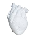 Miniatyrbillede 1 af 5: Anatomisk Hjerte Vase Resin Blomsterpotte Hjerteformet Vase Bordplade Desktop Ornament Bord Skrivebord Blomstervase Dekor, Hvid