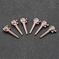 Miniatyrbilde 1 av 5: 6 stk. Drage Metall Akustisk Gitar Bro Pins Strenger Fikserte Koner