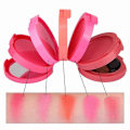 Miniatyrbillede 2 af 5: 5-i-1 Vandtæt Blush 5-Farve Blusher Palette med Børste Spejl Flydende Blush Fersken