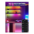 Miniatyrbild 3 av 5: Tuya SPI RGB/RGBW Pixels LED Kontroller WIFI 2.4GHz RF Fjärrkontroll för Alexa för WS2811 WS2812B WS2815 Strip 1Set