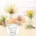 Miniatyrbilde 2 av 5: 10 stk. Luftplante Tråd Fjærholdere Blomsterpotter Miniatyrstativer Hagedekor Qinhai