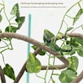 Miniatyrbilde 2 av 5: Reptil Bøy-En-Gren Vinstokker Fleksible Blader Kjæledyr Habitat Dekor Klatrer Jungel Lange Vinstokker for Klatring Gekko Øgle