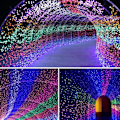 Miniatyrbilde 3 av 4: 100M LED-lyslenke for utendørs, julebelysning med 8 moduser, IP44 Vanntett for hagedekorasjon, flerfarget
