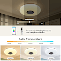 Miniatyrbilde 3 av 5: 36W dimbar LED-taklampe, Bluetooth-høyttaler, lys med fjernkontroll/app-kontroll, RGB-fargeendring, taklampe for