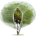 Miniatyrbillede 1 af 7: Insekt- og fuglenet med lynlås, havebeskyttelse til at beskytte plantefrugter og blomster mod insekter og fugle (185 cm x 185 cm) 185×185cm