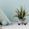 Miniatyrbild 5 av 5: Växtvagn Rullande Växtställ Blomkrukställ, Med Hjul, Rullande Växtställ Och Plastväxtvagn, Växtställ För Inomhus + Utomhus Grå Grey 360