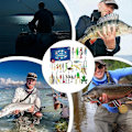 Miniatyrbild 4 av 5: Fiskeadventskalender Jul 2024 - Set med fiskedrag, fiskeutrustning för vuxna män pojkar, fisketillbehör (24 st)