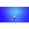 Pikkukuva 5 / 10: 10 kpl LED-lamppu T10 12V-18V 4W CANBUS 400lm Sininen