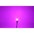 Pikkukuva 6 / 10: 2 kpl W5W LED T10 12-24V CANBUS polttimo 500lm 8 väriä 8 väriä Violetti