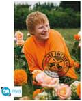 Ed Sheeran Affisch Field 90