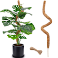 Miniatyrbild 1 av 5: 48 Tums Mosspåle, Höga Mosspålar för Klätterväxter inomhus, Mosspålstöd, Trädgårdsstöd Växtpinnar för Krukväxter, Pothos