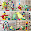 Pikkukuva 5 / 5: 8 kpl Lintujen Budgie-leluja, Riippuva Kello Papukaijan Häkki Keinuminen Kiipeilytikkaat Puinen Perkkari (Monivärinen)