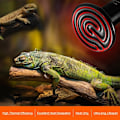 Miniatyrbilde 5 av 5: Terrarium Reptil Varmepære, Keramisk Varmeemitter 100w, E27 Infrarød Keramisk Reptil Varmepære for Reptiler/Øgler/Skilpadder/Kyllinger
