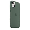 Miniatyrbilde 2 av 2: Silikondeksel med Magsafe for iPhone 13 Mobil deksel Eucalyptus Eucalyptus