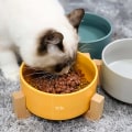 Miniatyrbilde 3 av 5: Gul Keramisk Katteskål med Tre Stativ Ikke-Spille Mat og Vannmater for Katter Små Hunder