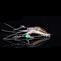 Miniatyrbilde 5 av 5: 5 stk. Myk Selvlysende Rekelokksett, 5 Farger Rekebete Rekelokker Fiskesett Fiskebete med Kroker Perler Fiskeutstyr