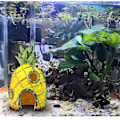 Miniatyrbillede 3 af 5: Akvarium Dekoration, Akvarium Ananas Hus, Fiskekum Dekoration, Undervands Landskabs Dekoration